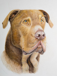 Duke
