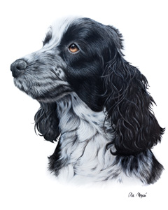 George